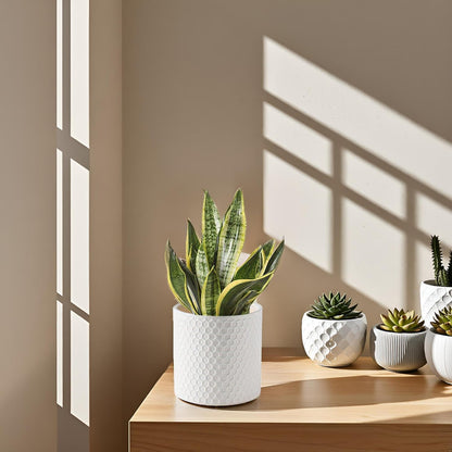 Docrin 3-Pack Ceramic Planters Set - 6.5"+5.3"+4" Dual-Tone Flower Pots with Drainage Holes, Modern Indoor Outdoor Planters for Succulents/Herbs/Large Plants, Home Office (Brownish Black & White)