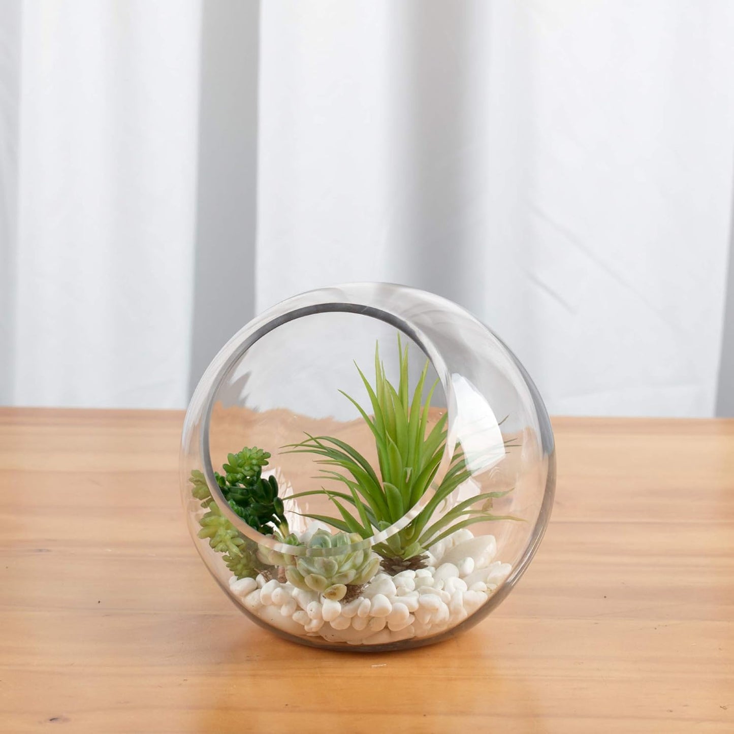 WGVI Clear Slant Cut Bowl Glass Vase, Glass Terrarium, Candy Dish, Glassware, Slant Open: 7". Height: 6" x 2.7". Base: 4" (1 Piece)