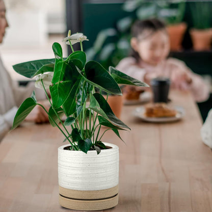 HERDUK 6 Inch Plant Pots, Ceramic Planter Pot with Drainage Hole & Saucer, Indoor/Outdoor Cylinder Round Planter Pot, Green & Beige