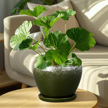 Ceramic Modern Glaze Succulent Planter Pot with Drainage Hole and Saucer 6 Inch Round Flower Plant Pot for Indoor Outdoor Herb Snake Plants