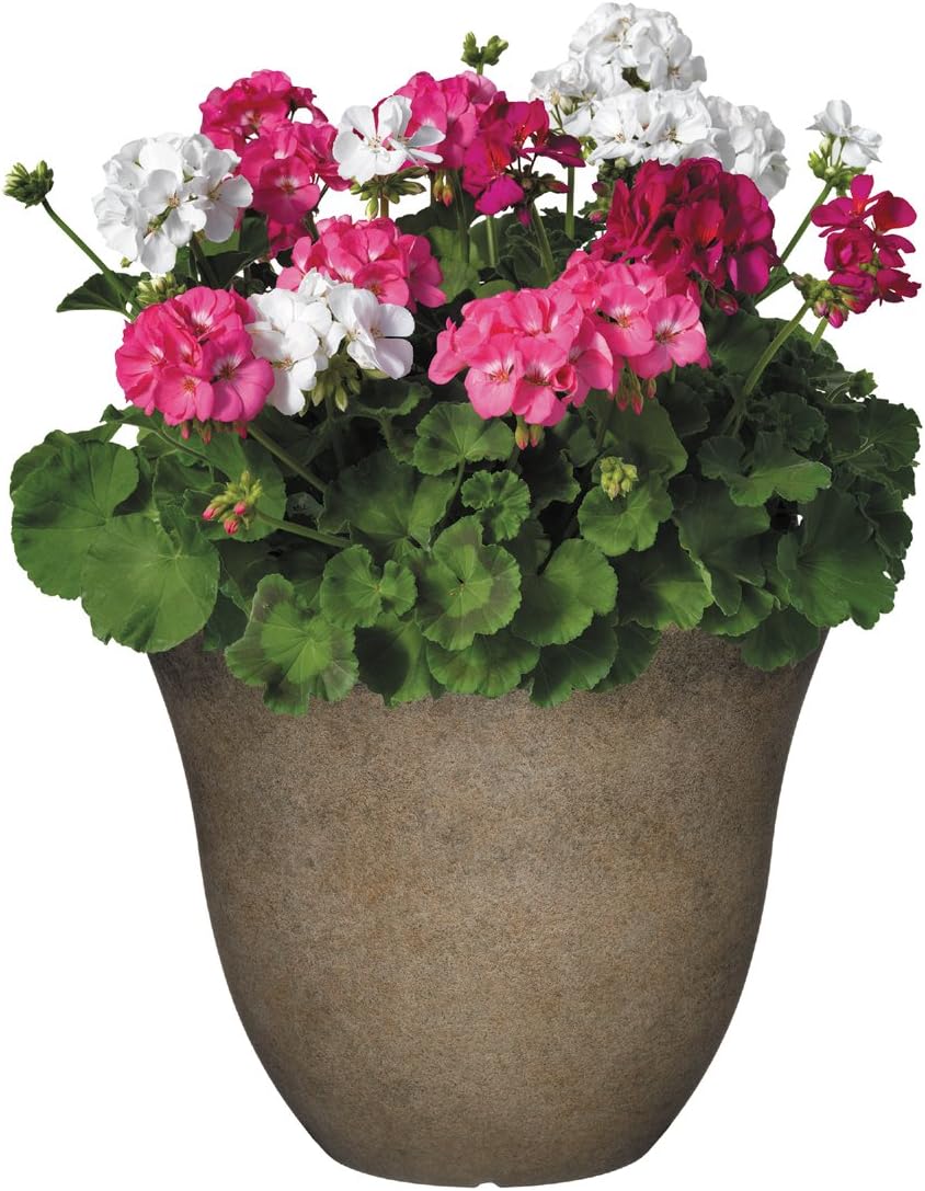 Classic Home and Garden Honeysuckle Resin Planters - Lightweight Indoor & Outdoor Plant Pots - UV-Resistant Plastic Flower Pots - Pot Planters for Flowers & Herbs (15" Distressed Copper)
