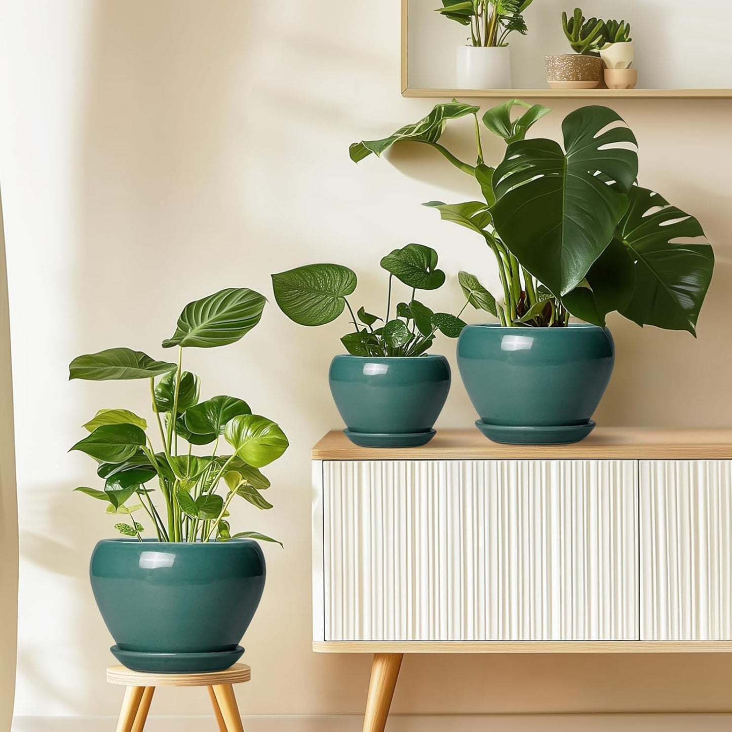 Ceramic Modern Glaze Succulent Planter Pot with Drainage Hole and Saucer 6 Inch Round Flower Plant Pot for Indoor Outdoor Herb Snake Plants