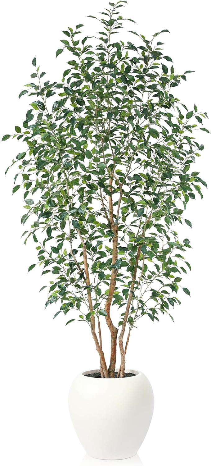 VeriNatural 8FT Artificial Ficus Tree, Indoor Faux Ficus Plant with Realistic Leaves & Natural Wood Trunk, 8ft Tall, Green, All Seasons, Perfect for Living Room Home Decor