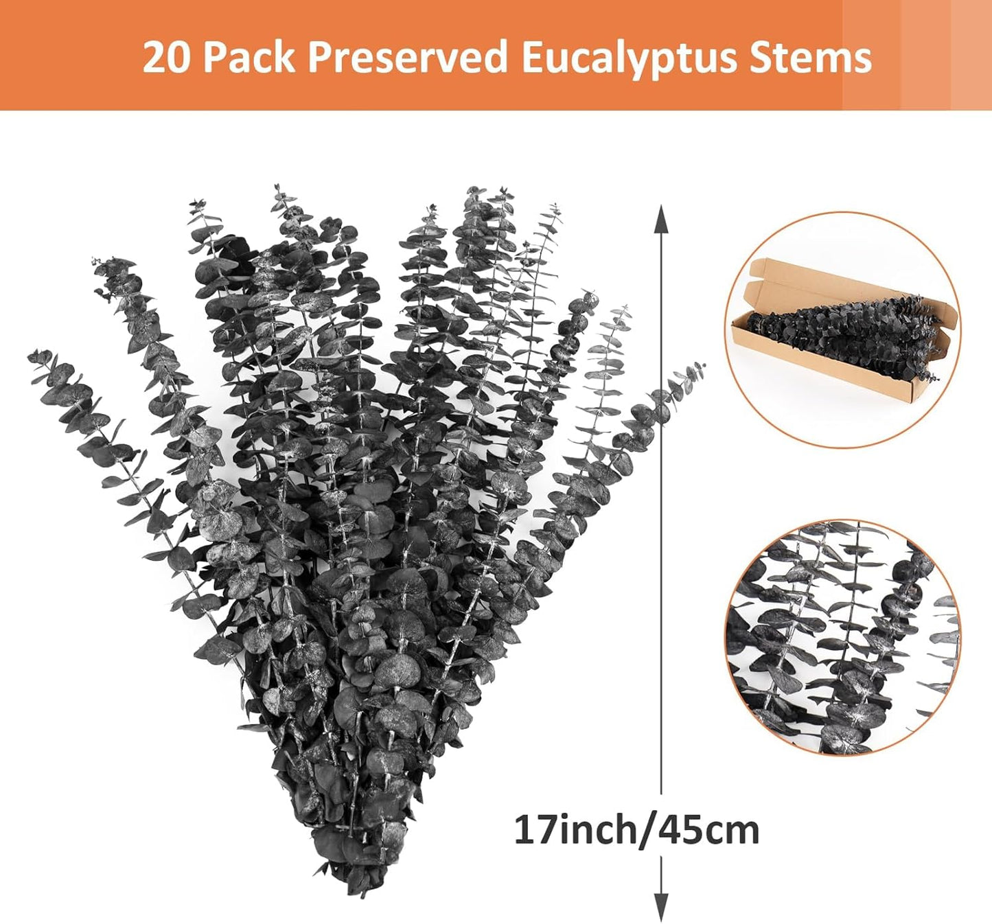 Real Eucalyptus Stems 20PCS Dried Preserved Fresh Eucalyptus Silver Dollar Leaves for Shower - Greenery Branches for Wedding Home Party Vase Filler Spring Decor