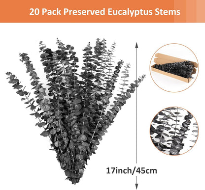 Real Eucalyptus Stems 20PCS Dried Preserved Fresh Eucalyptus Silver Dollar Leaves for Shower - Greenery Branches for Wedding Home Party Vase Filler Spring Decor
