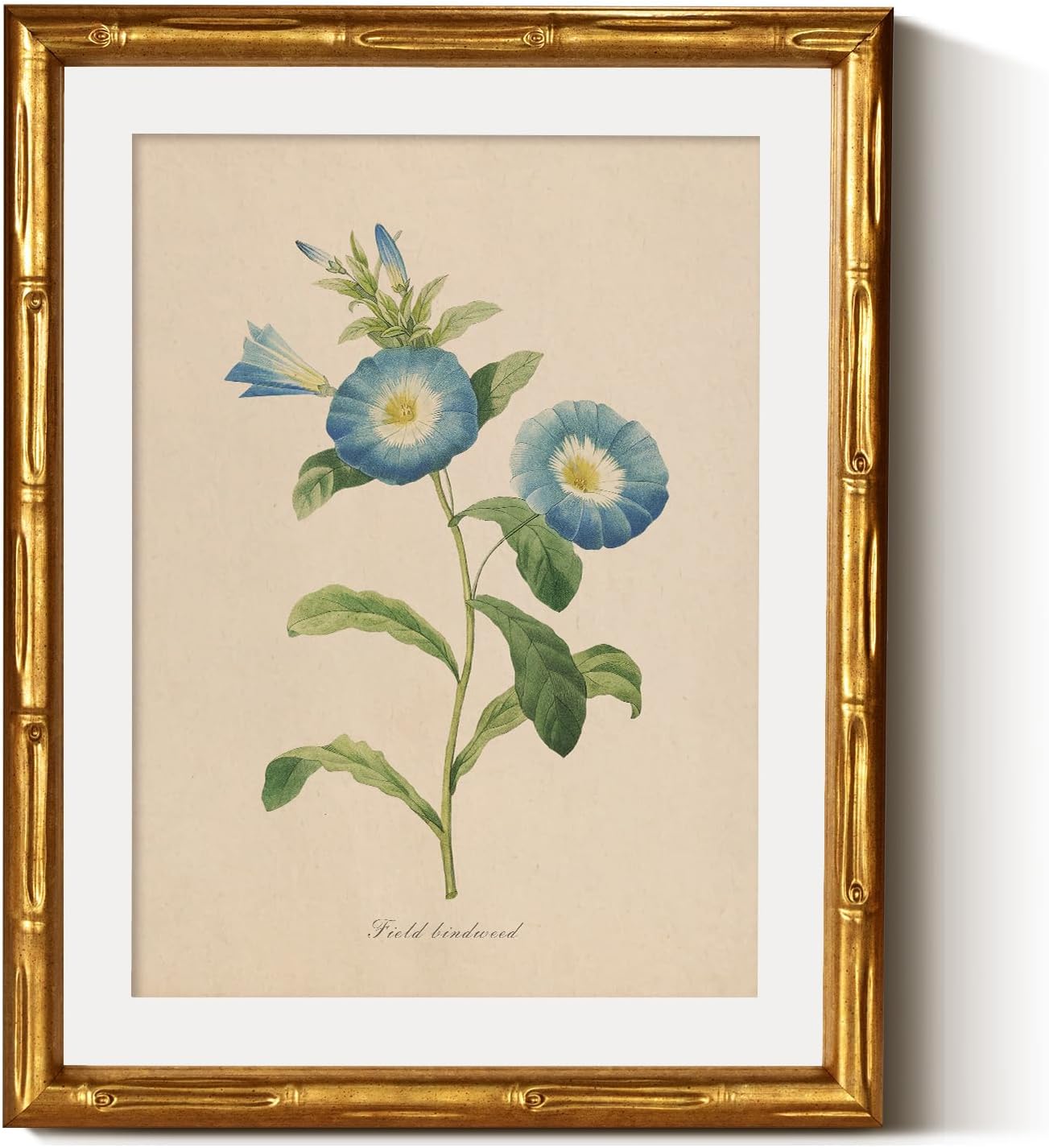 InSimSea Gold Bamboo Framed Canvas Wall Art, Retro Blue Hydrangea Botanical Prints, Antique Flowers Picture Frame with Mat, Victorian Home Wall Decor for Kitchen Living Room Bedroom, 11x14inch