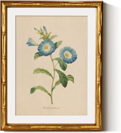 InSimSea Gold Bamboo Framed Canvas Wall Art, Retro Blue Hydrangea Botanical Prints, Antique Flowers Picture Frame with Mat, Victorian Home Wall Decor for Kitchen Living Room Bedroom, 11x14inch