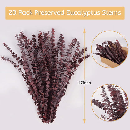 Real Eucalyptus Stems 20PCS Dried Preserved Fresh Eucalyptus Silver Dollar Leaves for Shower - Greenery Branches for Wedding Home Party Vase Filler Spring Decor