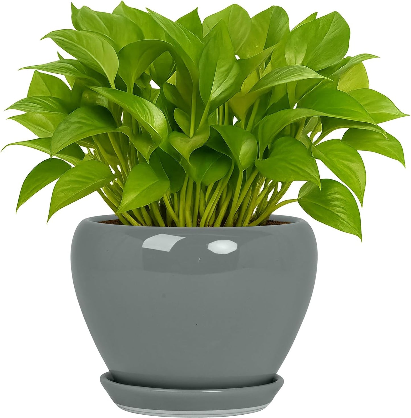 Deep Dream 6 Inch Plant Pots- Ceramic Planter Pot with Drainage Hole and Saucer, Round Flower Pot for Indoor Outdoor Succulent, Snake Plants and Cactus, Blue