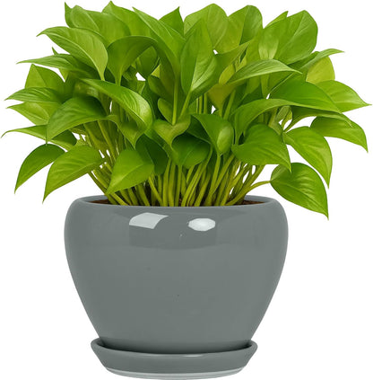 Deep Dream 6 Inch Plant Pots- Ceramic Planter Pot with Drainage Hole and Saucer, Round Flower Pot for Indoor Outdoor Succulent, Snake Plants and Cactus, Blue