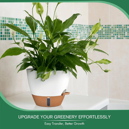 montresor 12/10/8 Inch Self Watering Pots for Indoor Plants Plastic Large Plant Pots for Outdoor Plants, Water Level Window & Spacious Reservoir Flower Pots Decorative Planter with Drainage and Tray