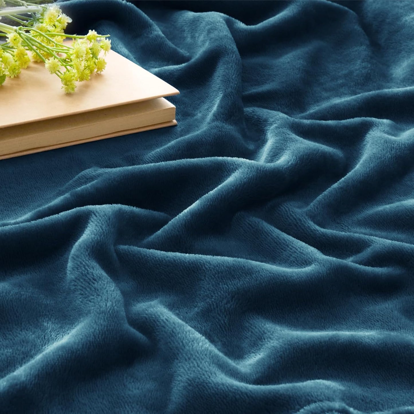 BEDELITE Fleece Blanket Black Throw Blankets for Couch & Bed, Luxury Plush Cozy Fuzzy Blanket 50x60 inches, Super Soft Warm Lightweight Throw Blanket for Travel Camping - Colors B