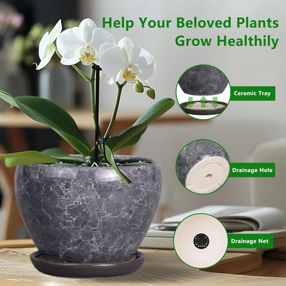 Ceramic Modern Glaze Succulent Planter Pot with Drainage Hole and Saucer 6 Inch Round Flower Plant Pot for Indoor Outdoor Herb Snake Plants