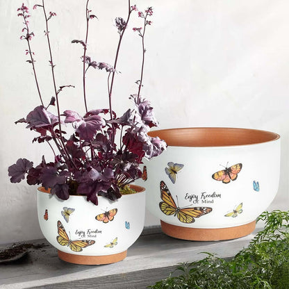 YBX 8 Inch + 6 Inch Ceramic Plant Pots, Succulent Flower Pots with Drainage Holes, Terracotta Planters for Indoor Plants, White&Terracotta (Garden)