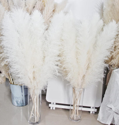 10 PCS Beige Pampas Grass Decor, Naturally Dried Pompas, Bunny Tails Dried Flowers, and Dried Eucalyptus. Perfect for Weddings, Boho Party Decorations, and Table Decor(17inch)