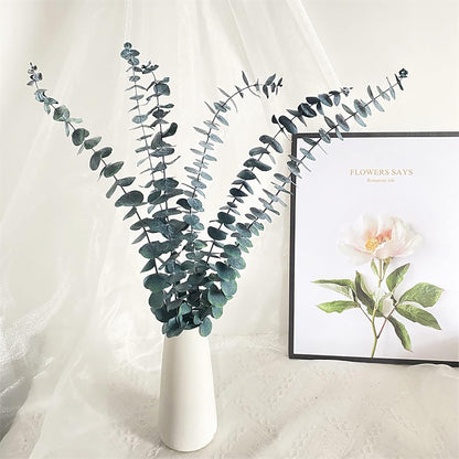 Eucalyptus for Shower 10 Pcs Hanging Dried Eucalyptu Stems 17" Real Eucalyptus Bundle 100% Made from Fresh Eucalyptu Wedding Decor Home Decor Farmhouse Room Decor DIY Artificial Plants Flowers