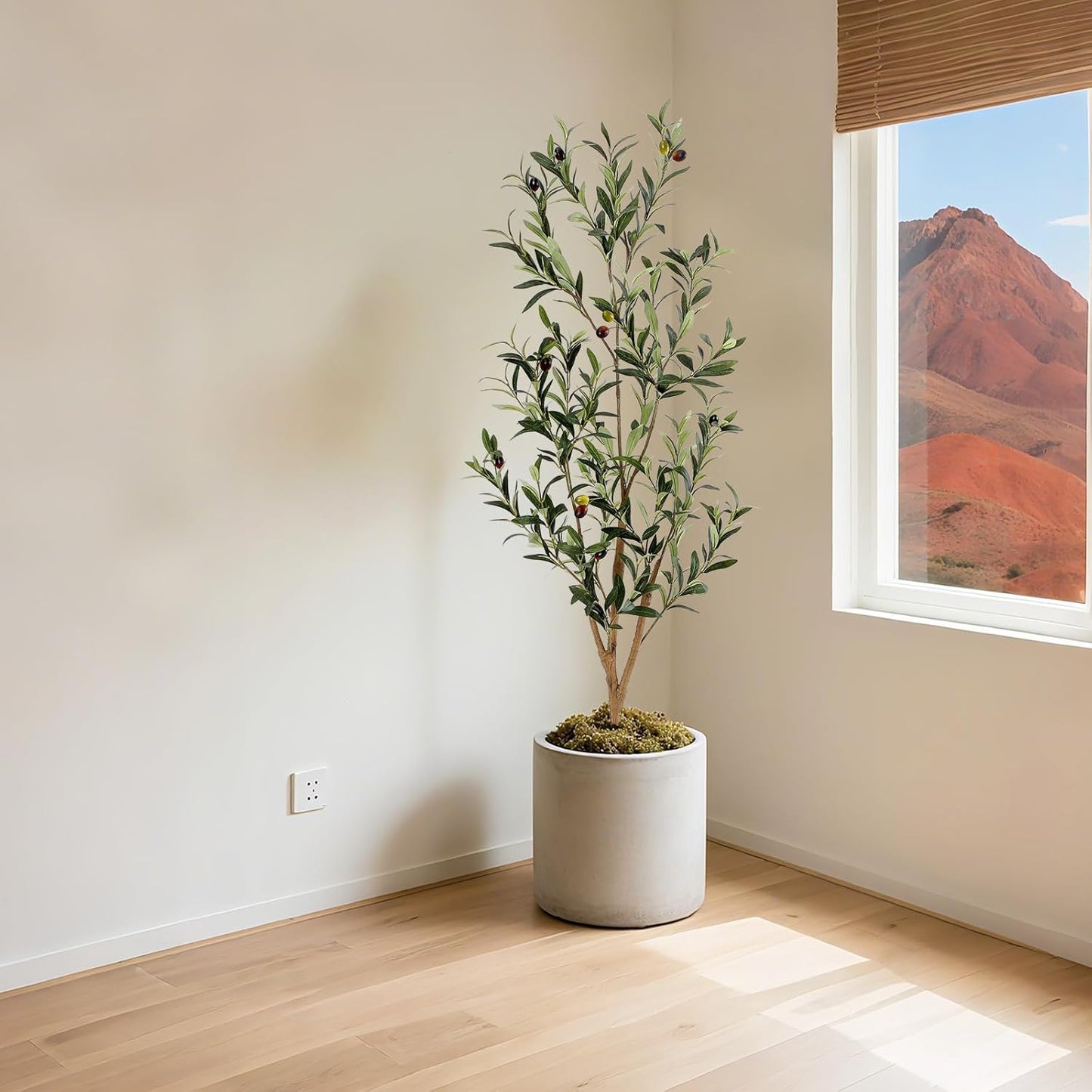 Bellacat Faux Olive Tree 7ft，Olive Trees Artificial Indoor with Natural Wood Trunk and Realistic Leaves and Fruits. 7 Feet(84in) Fake Olive Tree for Home House Office Décor.