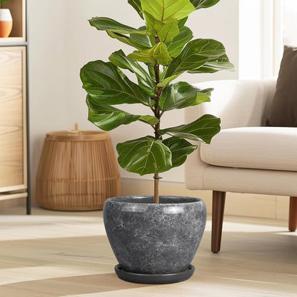 Ceramic Modern Glaze Succulent Planter Pot with Drainage Hole and Saucer 6 Inch Round Flower Plant Pot for Indoor Outdoor Herb Snake Plants