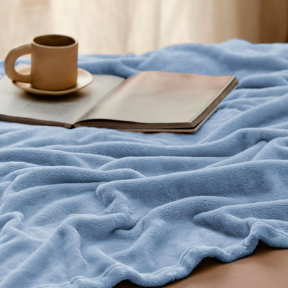 Bedsure GentleSoft Fleece Throw Blanket for Couch Grey - Lightweight Plush Fuzzy Cozy Soft Blankets and Throws for Sofa, Couch, Travel, Camping, 50x60 inches - Colors B
