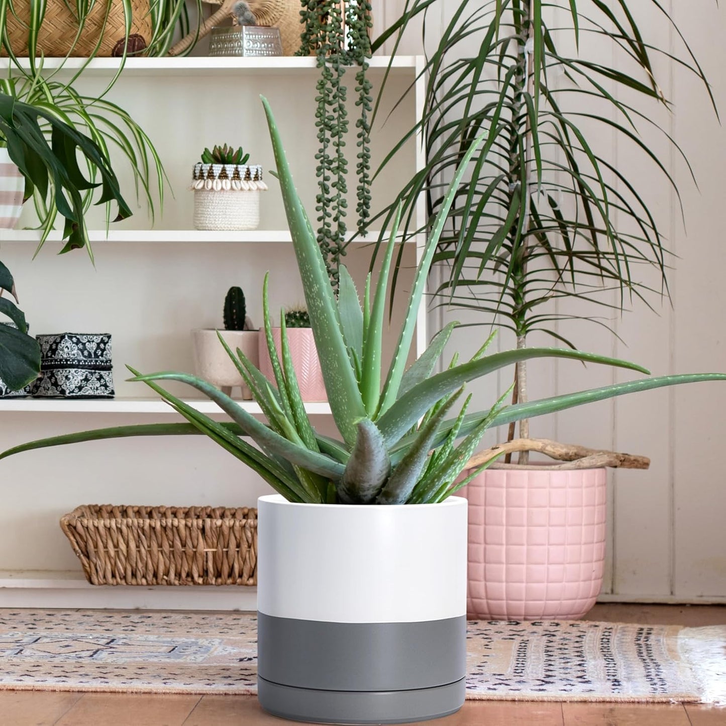 D'vine Dev Set of 2 Plants Pots, 6.5 Inch Ceramic Planter Pot for Plants with Drainage Hole and Saucer, White, 94-V-C-1