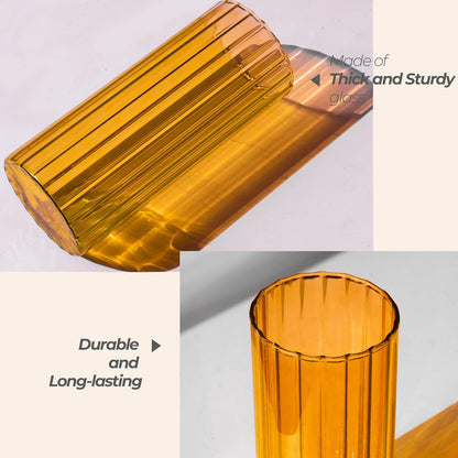 ComSaf Glass Cylinder Vases, Bud Vase for Centerpieces, 8 Inch Tall Ribbed Vase Hurricane Floating Candle Holder, Decorative Flower Vases for Wedding Reception, Home Decor, Housewarming Gift (Clear)