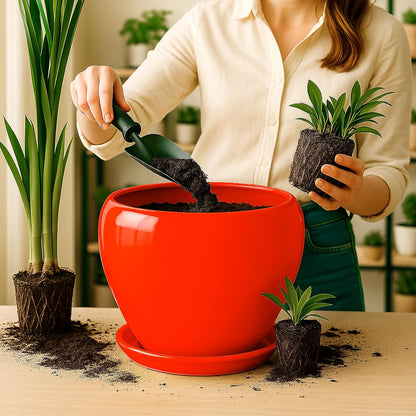 Deep Dream 6 Inch Plant Pots- Ceramic Planter Pot with Drainage Hole and Saucer, Round Flower Pot for Indoor Outdoor Succulent, Snake Plants and Cactus, Blue