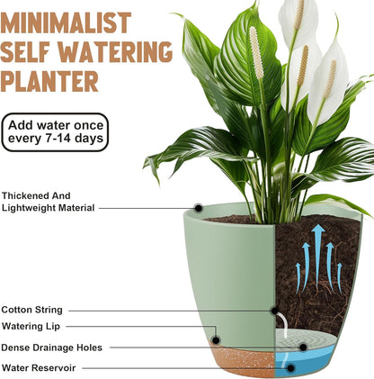 QRRICA Plant Pots 10/9/8/7.5/7 Inch Self Watering Pots, Set of 5 Plastic Planters with Drainage Holes and Saucers,Plastic Flower Pots,Nursery Planting Pot for Indoor Out Door Plants（Green）