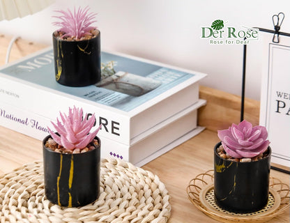 Der Rose 3 Pack Small Fake Plants Succulents Plants Artificial in Pots for Home Office Desk Decor for Women