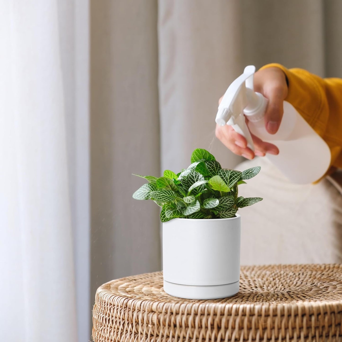 D'vine Dev Set of 2 Plants Pots, 6.5 Inch Ceramic Planter Pot for Plants with Drainage Hole and Saucer, White, 94-V-C-1