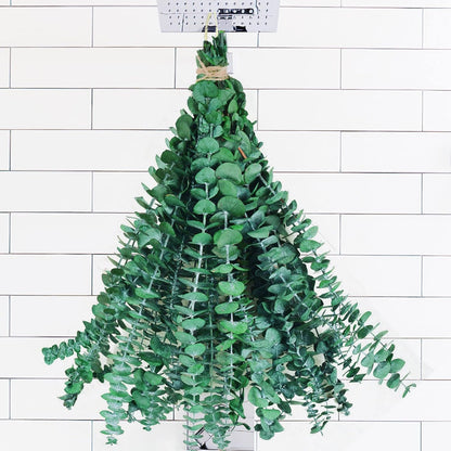 30 Pcs Dried Preserved Eucalyptus Stems Shower Bundle, 9oz 17" 100% Natural Fresh Eucalyptus Plant, Real Eucalyptus Leaves Branches for Shower Vase Filler, Dried Flowers Arrangement Home Decor