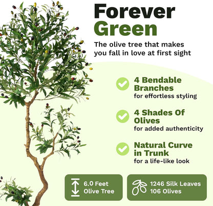 Fake Olive Tree 6.0 Feet – Artificial Plants Indoor, Faux Olive Tree, Fake Tree for Home Decor, Faux Trees Indoor for Living Room, Office, Bedroom – Tall Artificial Trees for Home, Designer Tree