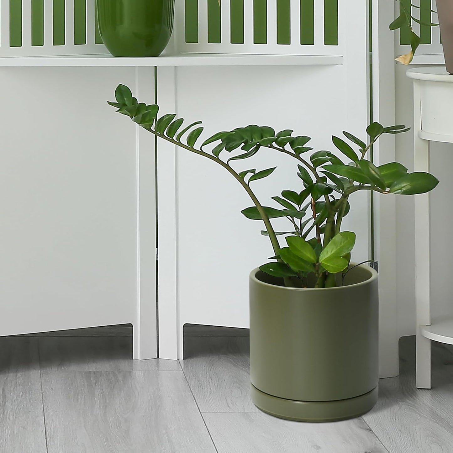 D'vine Dev Set of 2 Plants Pots, 6.5 Inch Ceramic Planter Pot for Plants with Drainage Hole and Saucer, White, 94-V-C-1