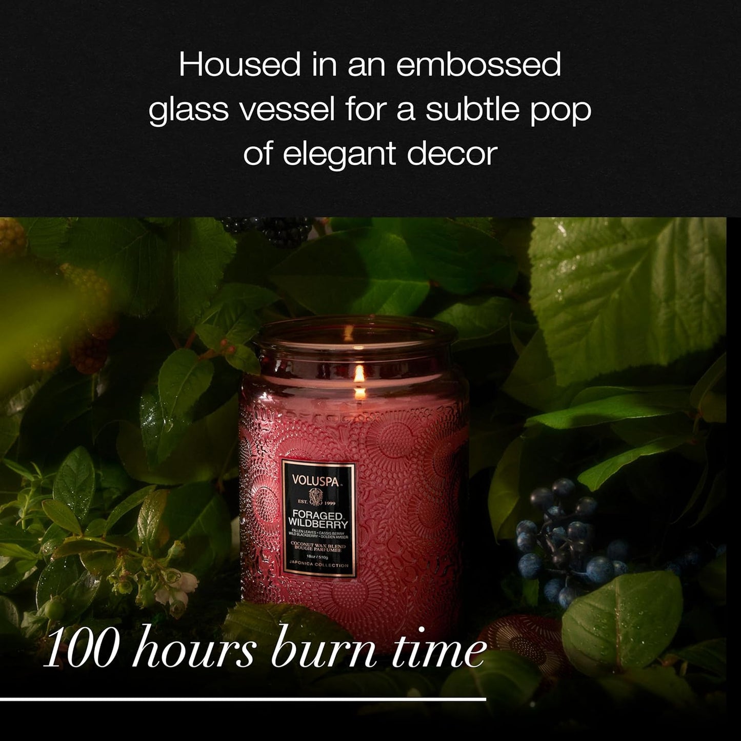 Voluspa Baltic Amber Candle, 18 oz, Coconut Wax Blend, Scented Candles for Home, 100 Hour Burn Time, Candle Jar