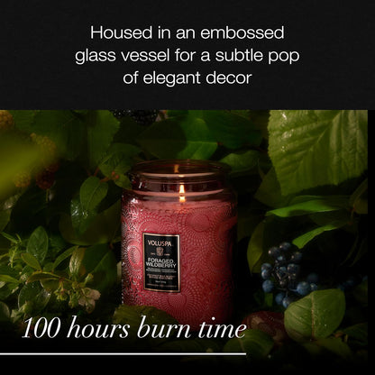 Voluspa Baltic Amber Candle, 18 oz, Coconut Wax Blend, Scented Candles for Home, 100 Hour Burn Time, Candle Jar