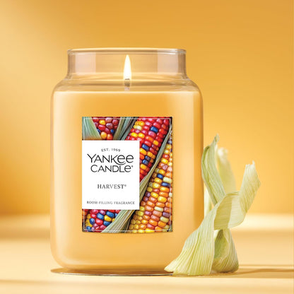 Yankee Candle Sugared Cinnamon Apple, Scented Candle, 22oz Large Jar with up to 150 Hour Burn Time, Giftable