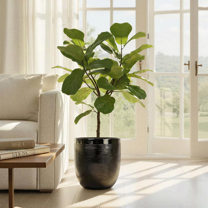 Creative Co-Op Large Matte White Embossed Stoneware Planter