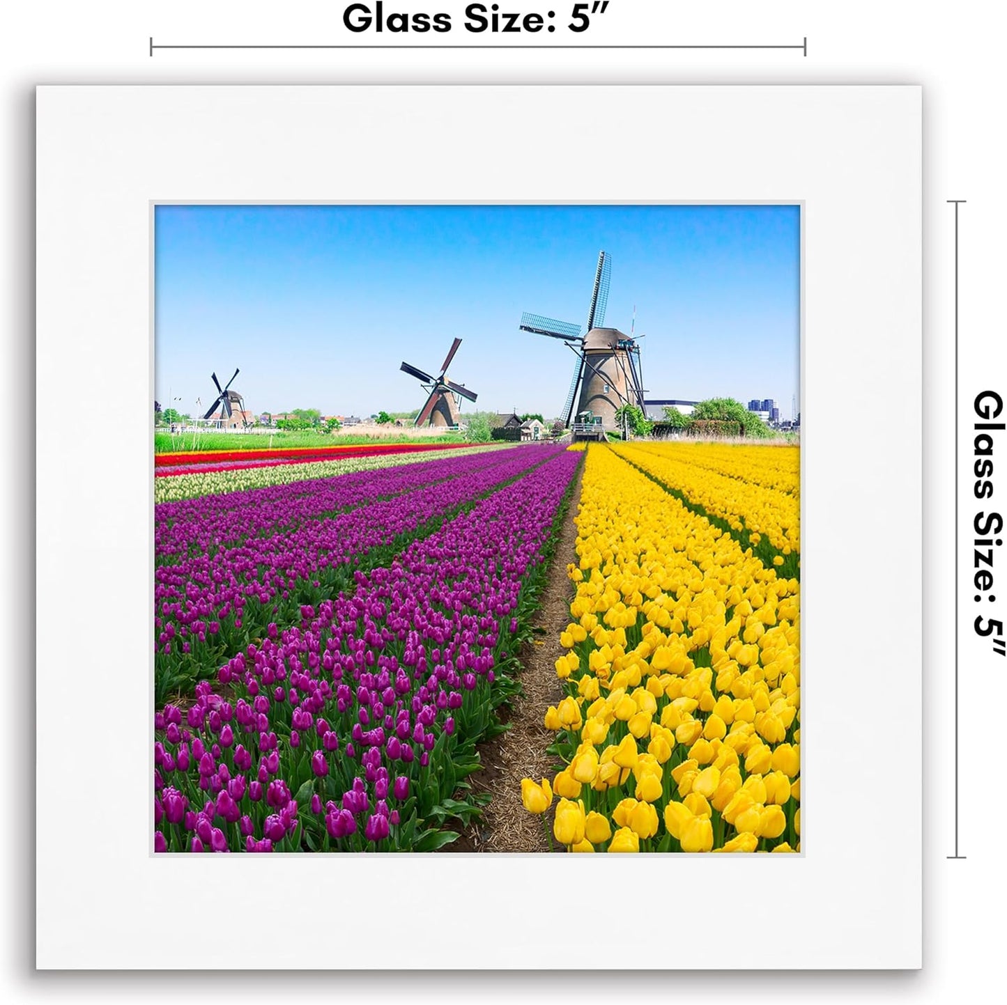 Americanflat 12x18 Poster Frame with Shatter-Resistant Glass - Signature Collection - Gallery-Style Frames Made of Engineered Wood - Photo Frame for Wall Display - Black - Colors B