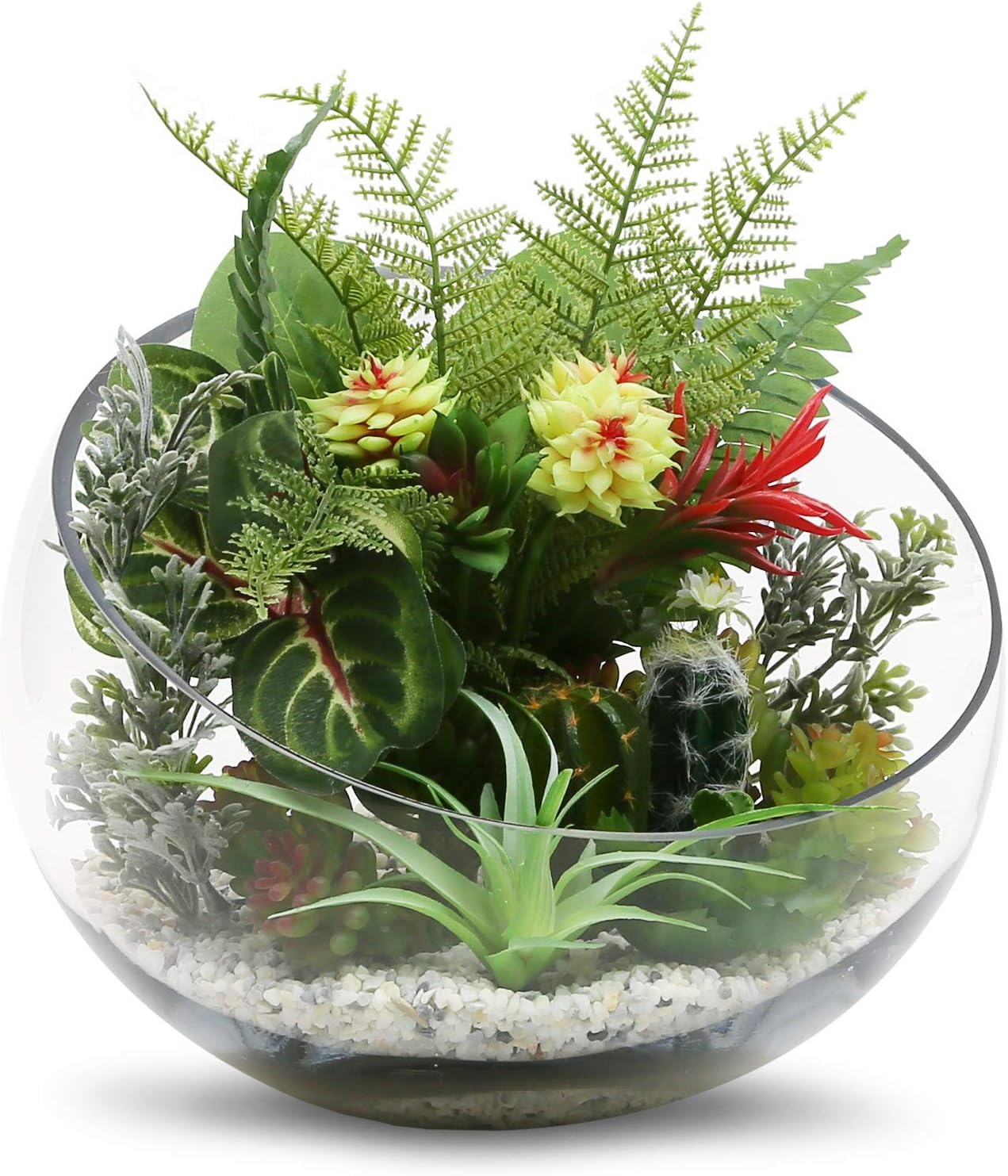 WGVI Clear Slant Cut Bowl Glass Vase, Glass Terrarium, Candy Dish, Glassware, Slant Open: 7". Height: 6" x 2.7". Base: 4" (1 Piece)