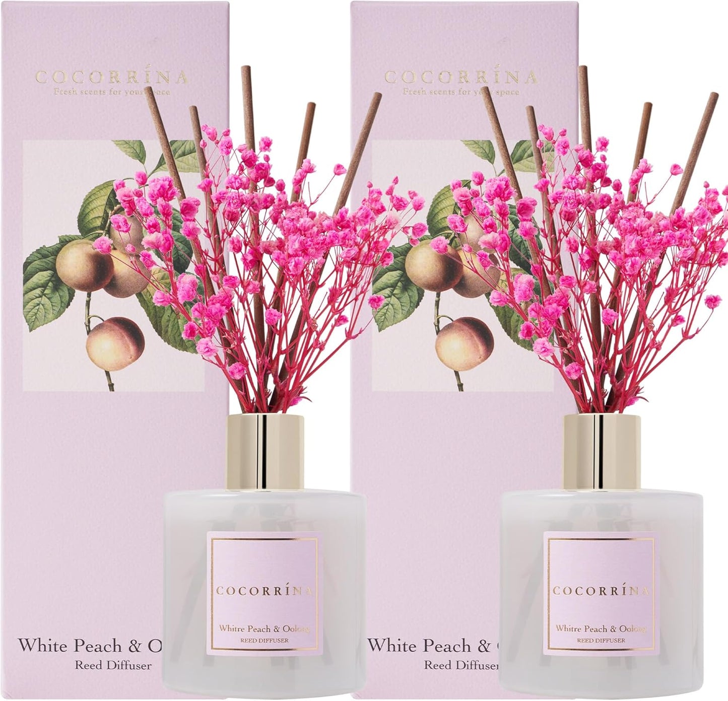 Cocorrína Premium Reed Diffuser Set with Preserved Baby's Breath & Cotton Stick Sandalwood Rose | 6.7oz Scent Fragrance Oil Diffuser for Bedroom Bathroom Home Décor