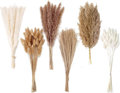 65PCS Pampas Grass Decor, Including pompas Floral, Reed Dried Grass and Bunny Tails Dried Flowers, Natural Dried Pampas Grass Bouquet for Boho Decor Wedding, Home Decoration