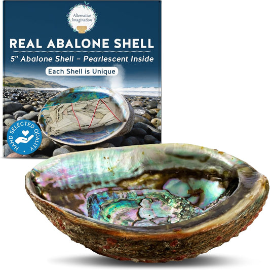 Alternative Imagination Hand Selected Abalone Shell - 6 Inches or Larger - Polished Mother-of-Pearl Interior - Flame-Proof Dish for Incense, Smudge Sticks, Trinkets, Crystal Display & Home Decor