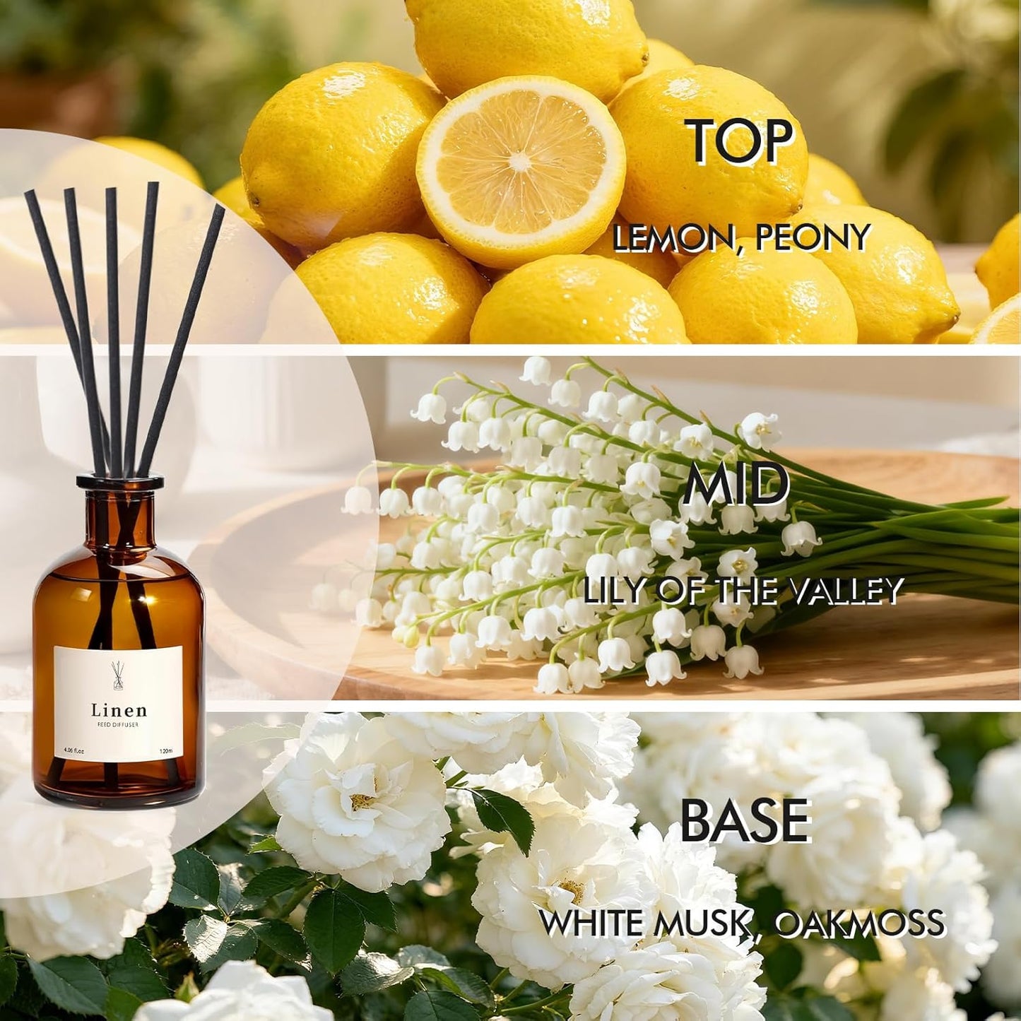 Reed Diffuser Set, 8.12 fl.oz Eucalyptus Scented Diffuser with Sticks, Up to 120 Days, Home Fragrance Reed Diffuser for Bathroom Shelf Decor & Room Freshener, 2 Pack