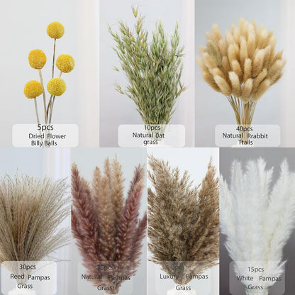 xin's convey 120 PCS Dried Pampas Grass, Dried Flowers, Reed Grass Bouquet for Bohemian Flowers Home Table Wedding Decoration, Rustic Farmhour.(Light Brown)