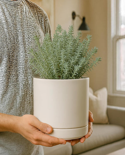 D'vine Dev 6.5 Inch Ceramic Planter Pot with Drainage Hole and Saucer, Indoor Cylinder Round Planter Pot, Olive, 94-O-C-J