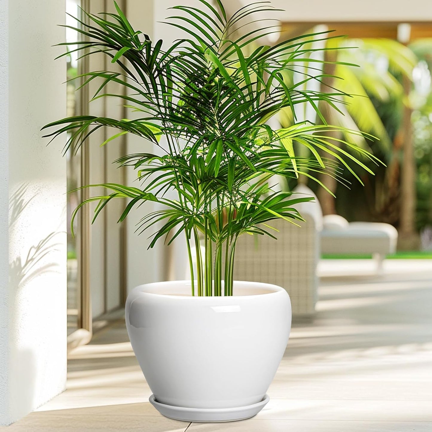 Ceramic Modern Glaze Succulent Planter Pot with Drainage Hole and Saucer 6 Inch Round Flower Plant Pot for Indoor Outdoor Herb Snake Plants