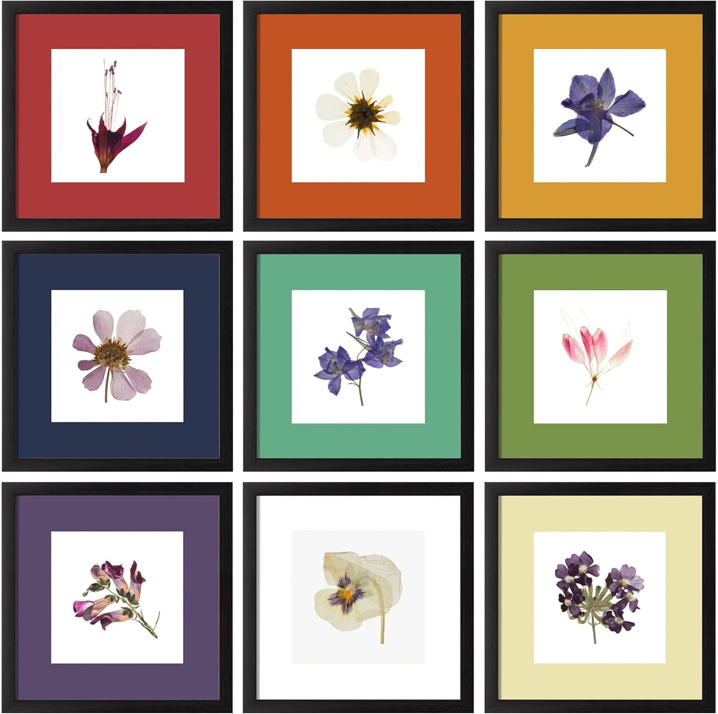 eletecpro 12x12 Picture Frames Set of 9 with Clear Acrylic Cover, Display 8x8 Photos with Mat or 12x12 Without, Classic and Sturdy Square Collage Gallery Wall Decor, Easy Wall Mount, Black