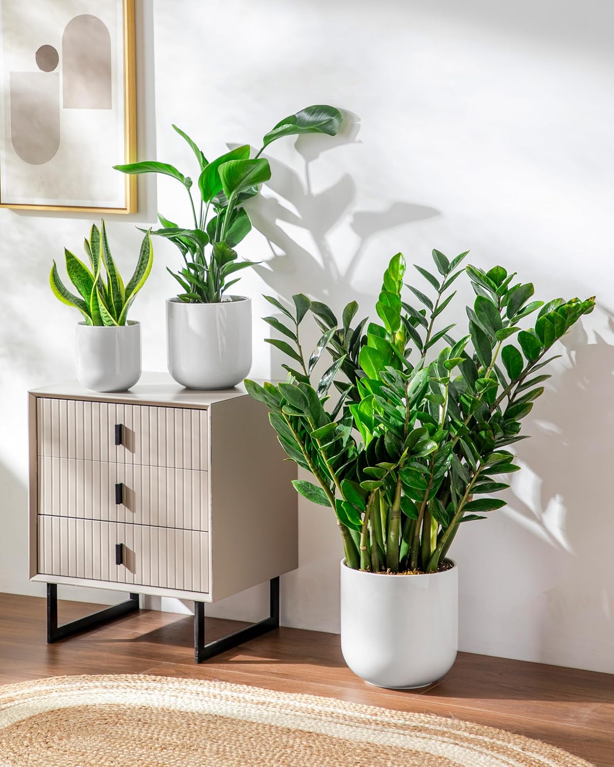 vancasso Ceramic Plant Pots, 4+5+6 inches, Set of 3, Planters with Drainage Hole, Flower Pots Planters Pots for Indoor Plants, Modern Indoor Decorative Garden Pot, Home Decor, White