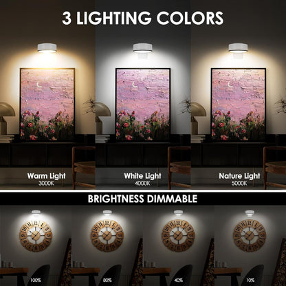 Arixinks 3PACK Picture Light Battery Operated with Remote, Painting Light for Wall Art with 3 Lighting Colors Dimmable, LED Art Display Accent Light on Wall for Poster Dartboard Frame Portrait Black