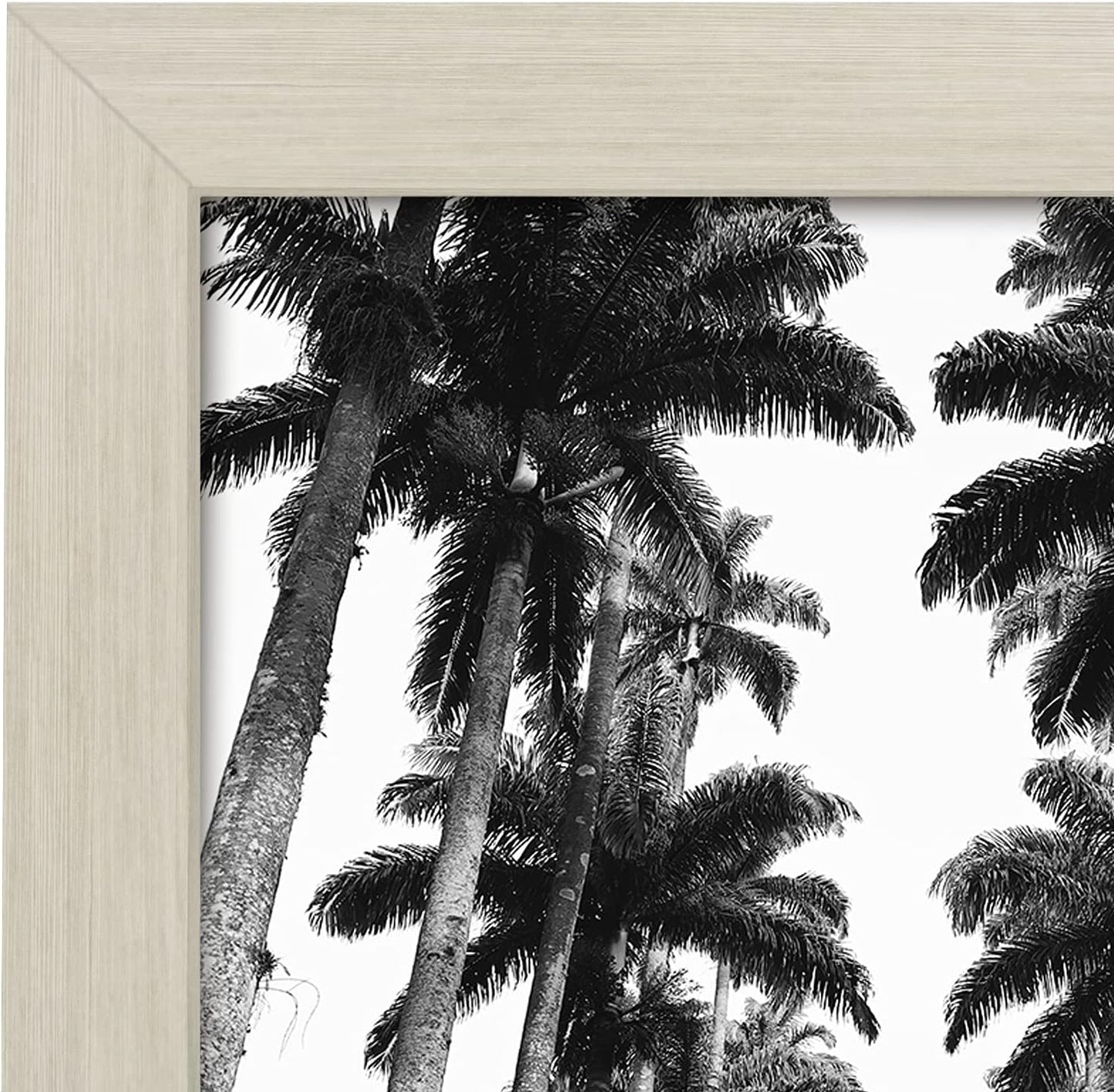 Americanflat 16x20 Picture Frame with Polished Plexiglass - Black Picture Frame - Wide Photo Frames Made of Engineered Wood for Vertical or Horizontal Wall Display - Epic Collection - Black - Colors A