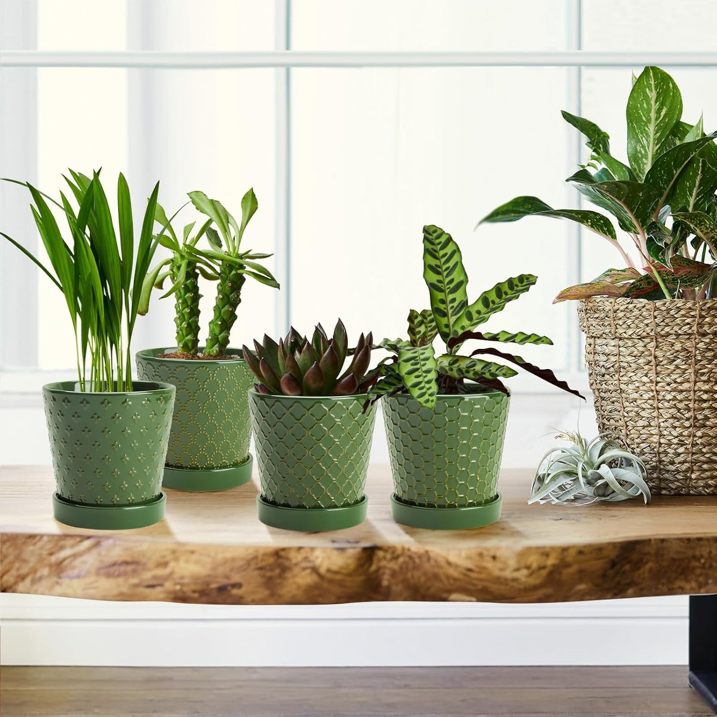 EFISPSS Flower Planter –5 inch Ceramic Plant Pots with Drainage Hole and Ceramic Tray - Gardening Home Desktop Office Windowsill Decoration Gift Set of 4 - Plants NOT Included